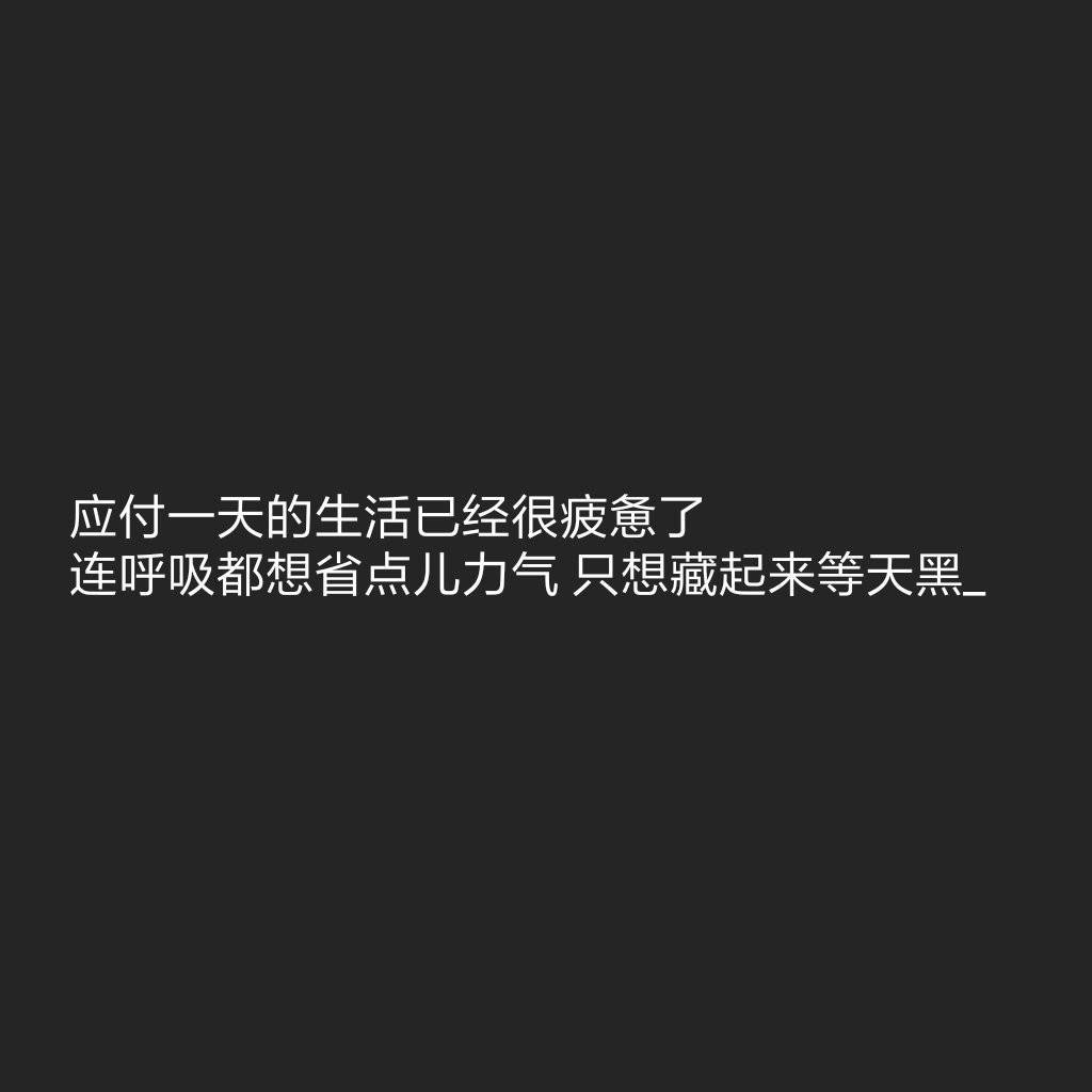 这家伙很懒,什么也没留下