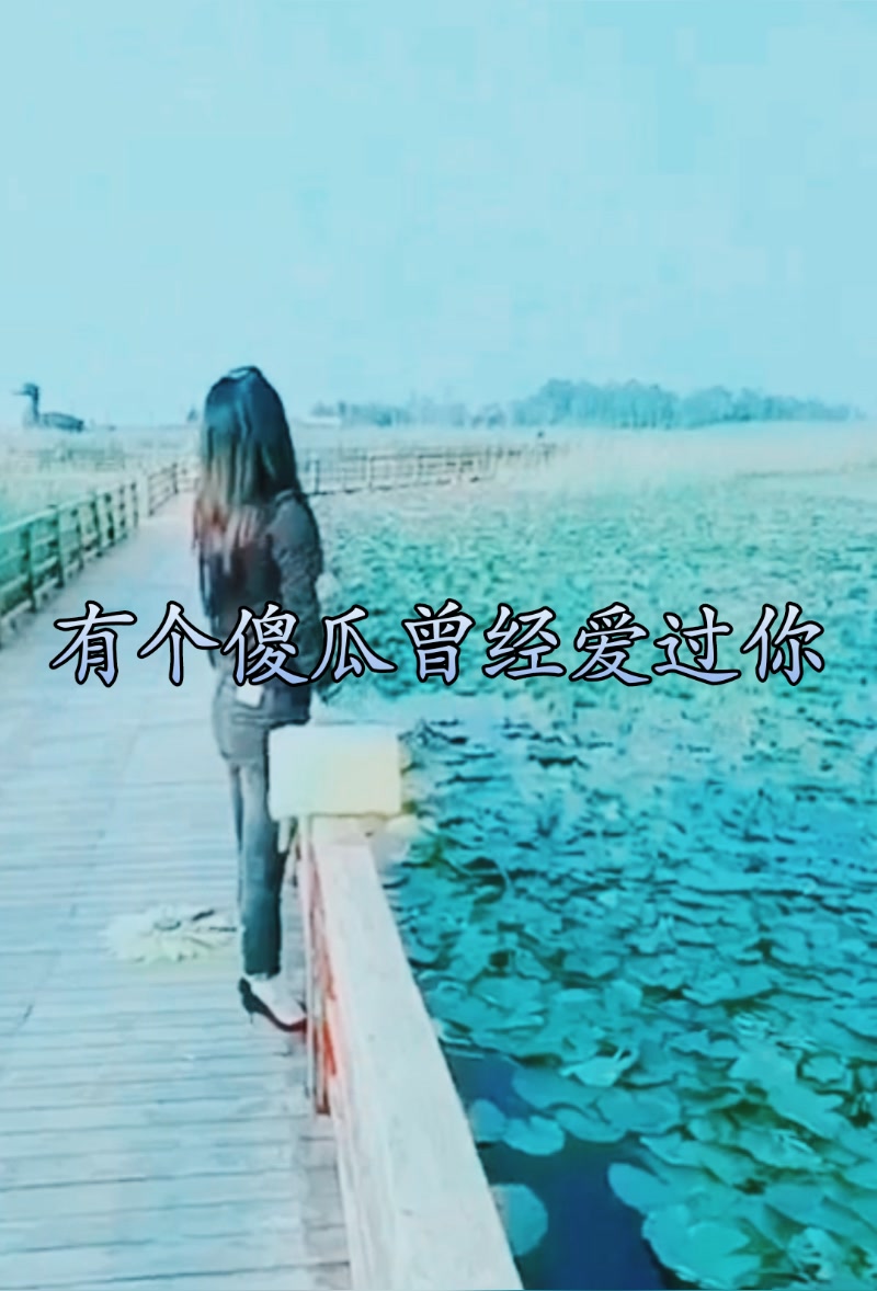 有个傻瓜爱过你…… - 洋老 大的快手
