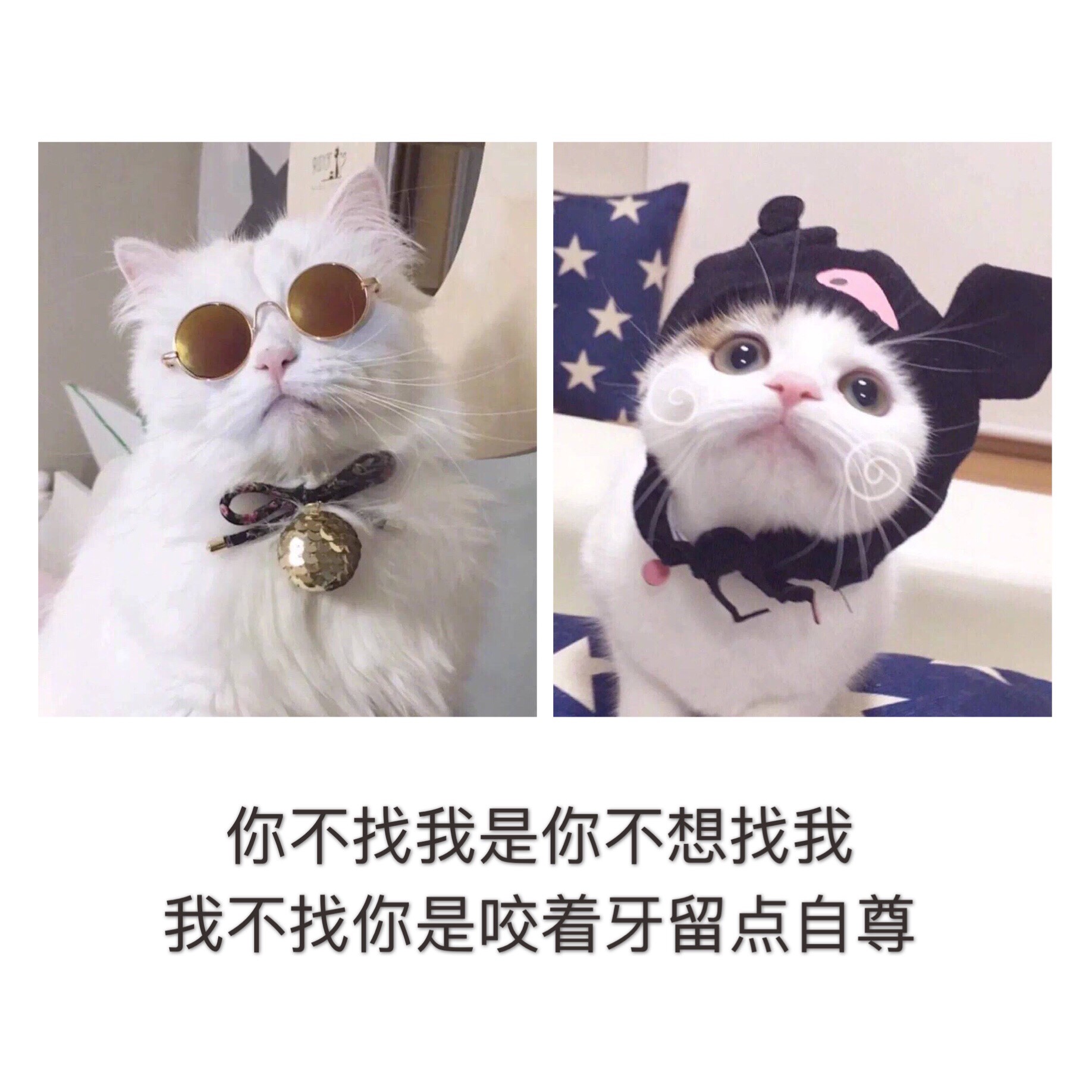 退快手的图片集点赞_快手把赞全部取消