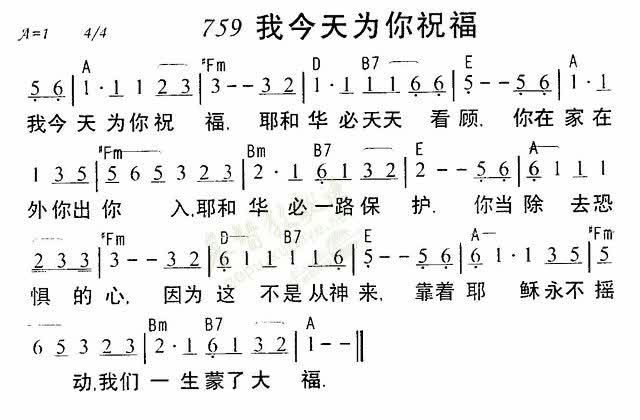樊凯利