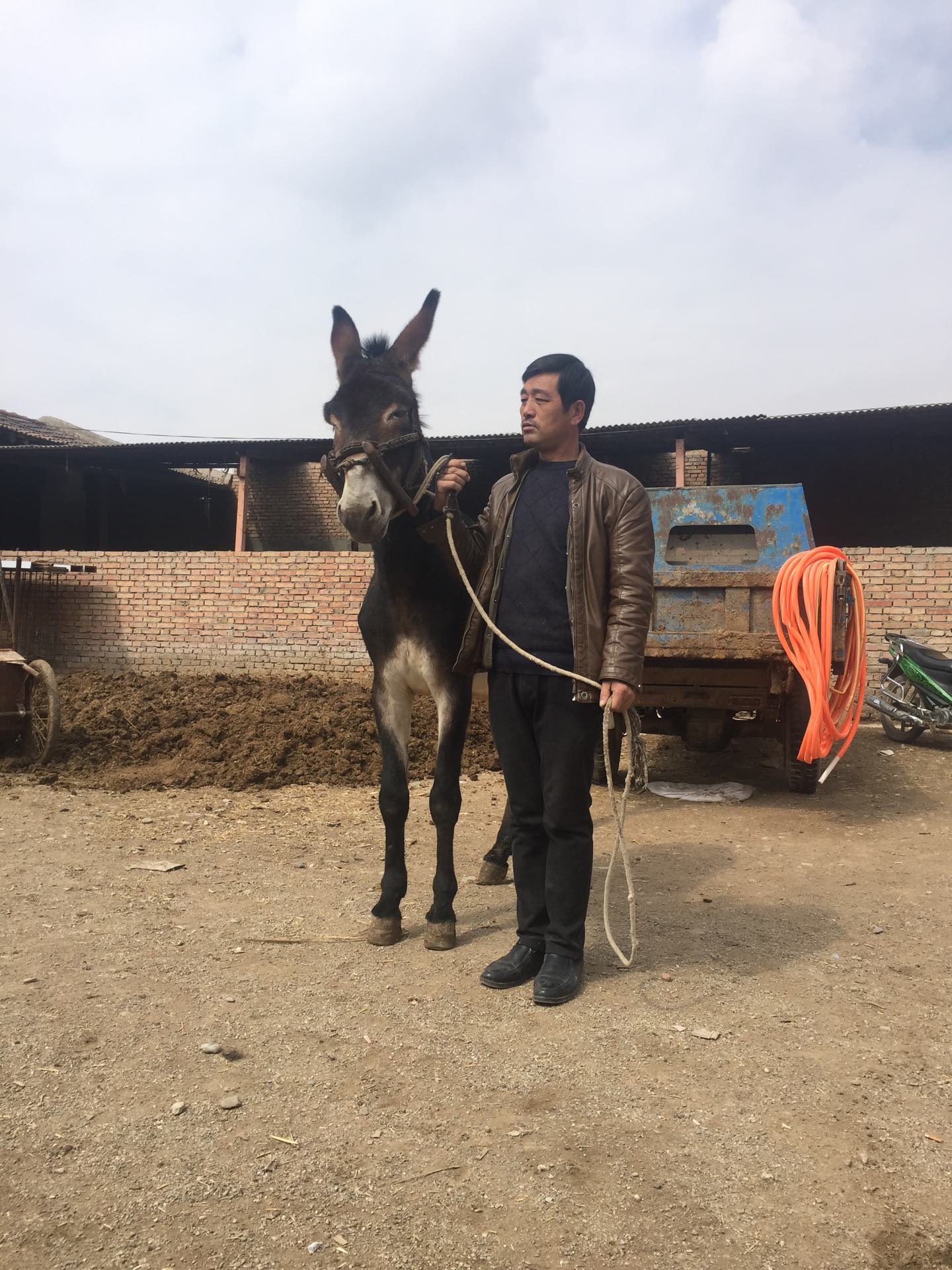 开开心心63427的快手